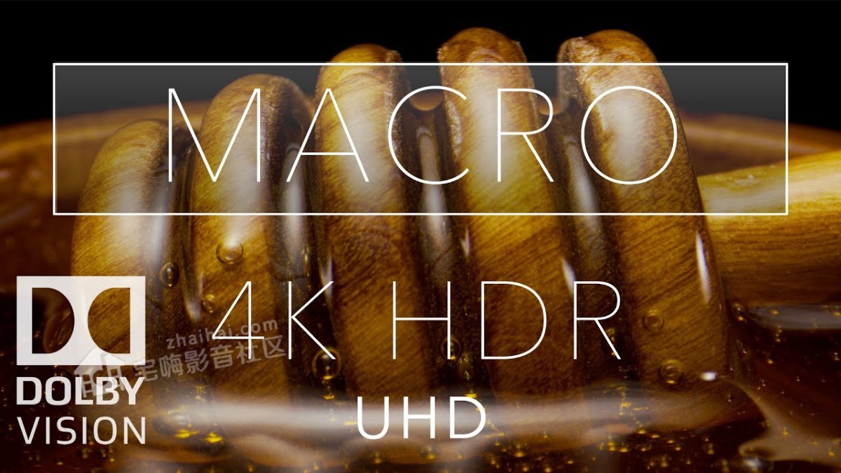 4. Macro HDR 4K 60fps Dolby Vision _ Laowa 24mm Probe Lens.jpg