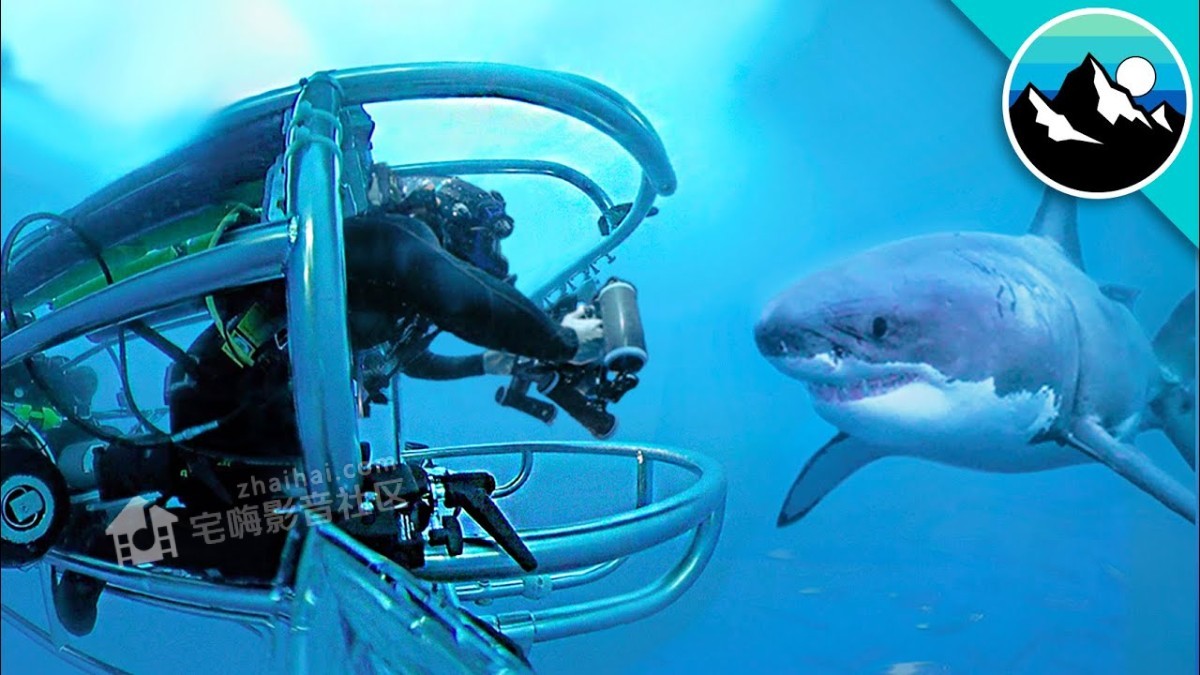 10. Great White Shark Submarine Explores the Kill Zone!.jpg