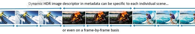 figure_3_dynamic-metadata.jpg