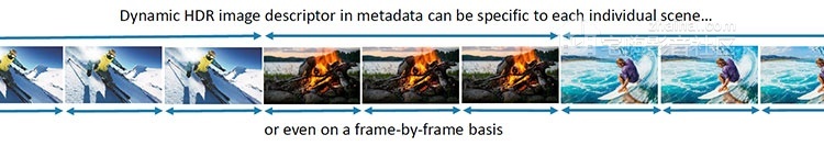 figure_3_dynamic-metadata.jpg