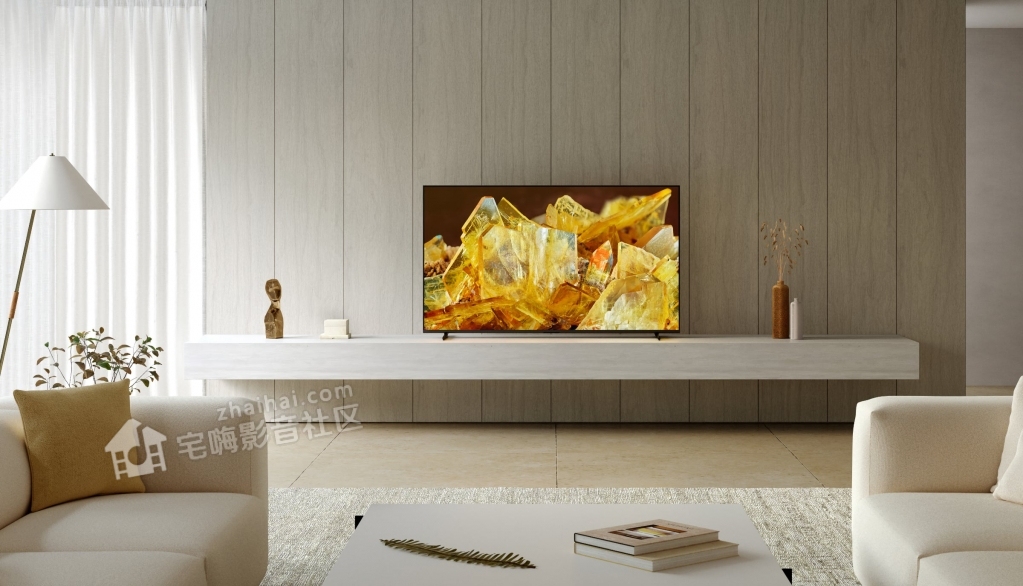 sonyx90l_2_large.jpg.jpg