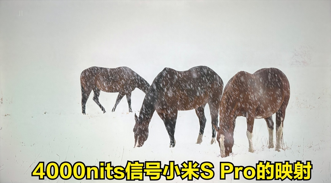 9.png