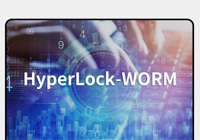 HyperLock-WORMҳ.jpg