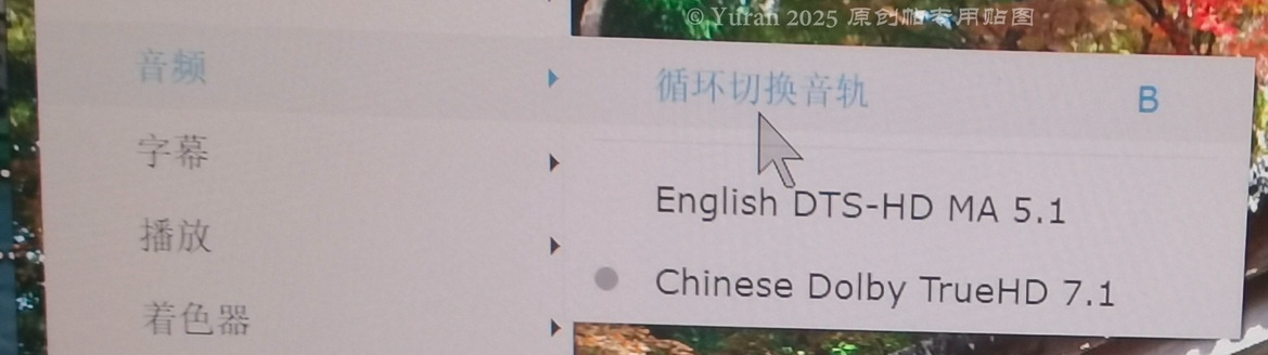osd2.jpg