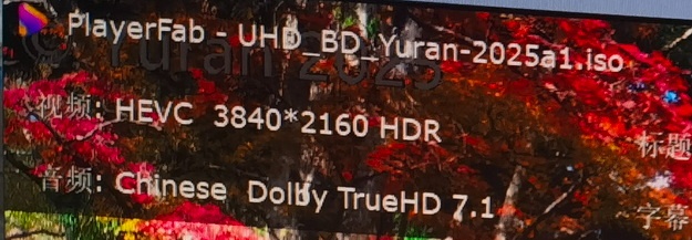 a-osd1.jpg
